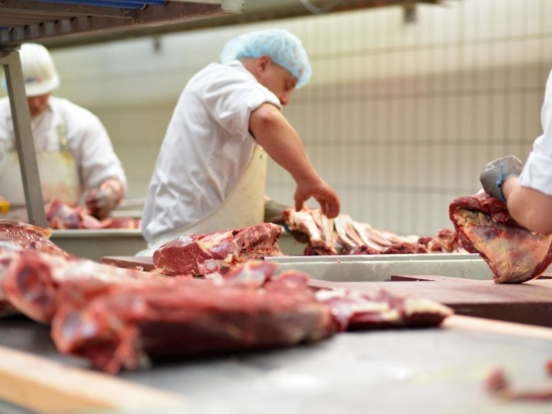 EPI para alimentos e frigoríficos